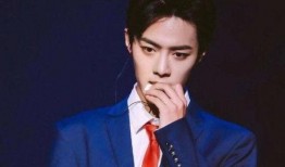 肖战王富贵爆料最新,揭秘娱乐圈背后的惊人真相